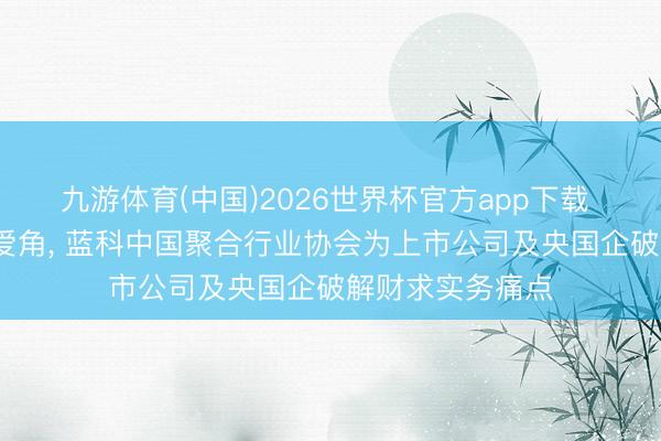 九游体育(中国)2026世界杯官方app下载 深蓉双城•双疼爱角， 蓝科中国聚合行业协会为上市公司及央国企破解财求实务痛点