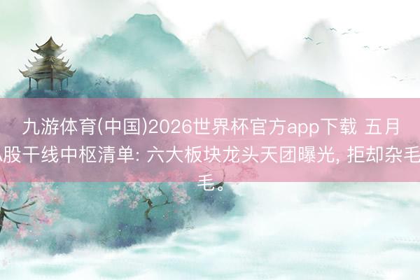 九游体育(中国)2026世界杯官方app下载 五月A股干线中枢清单: 六大板块龙头天团曝光， 拒却杂毛。