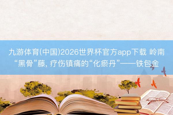九游体育(中国)2026世界杯官方app下载 岭南“黑骨”藤， 疗伤镇痛的“化瘀丹”——铁包金