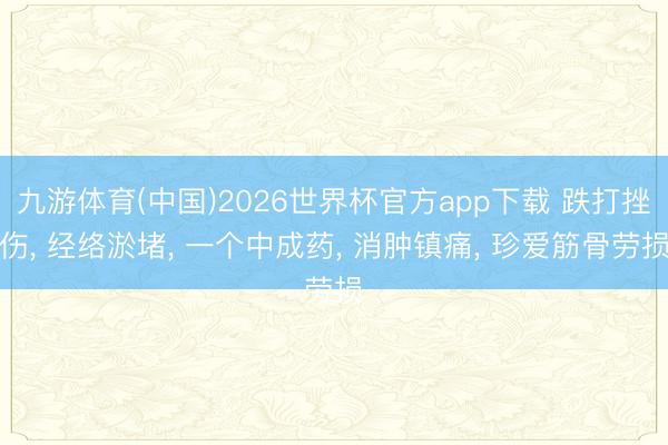 九游体育(中国)2026世界杯官方app下载 跌打挫伤， 经络淤堵， 一个中成药， 消肿镇痛， 珍爱筋骨劳损