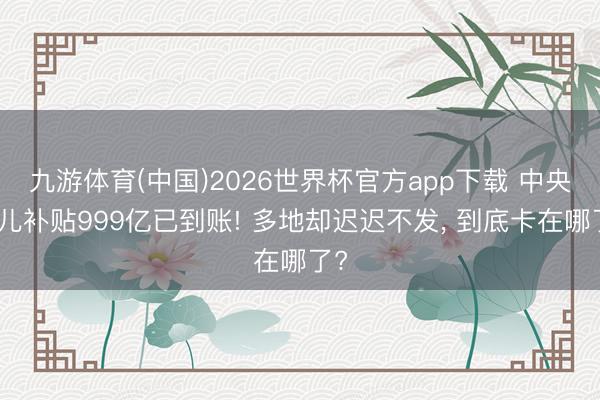 九游体育(中国)2026世界杯官方app下载 中央育儿补贴999亿已到账! 多地却迟迟不发， 到底卡在哪了?