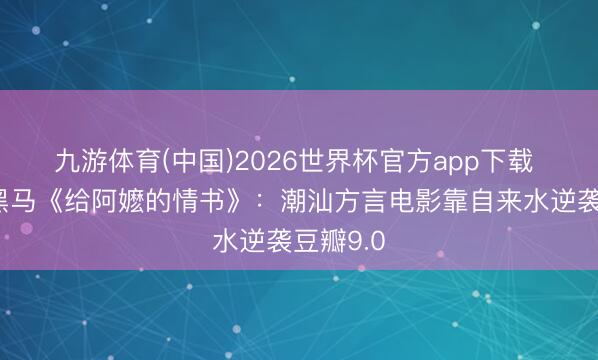 九游体育(中国)2026世界杯官方app下载 五一档黑马《给阿嬷的情书》:潮汕方言电影靠自来水逆袭豆瓣9.0